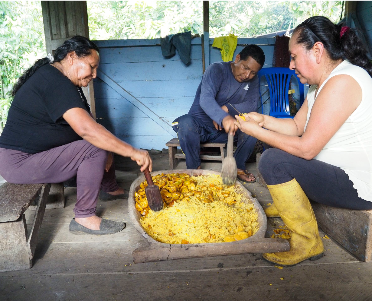 Indigenous community preparing peach palm